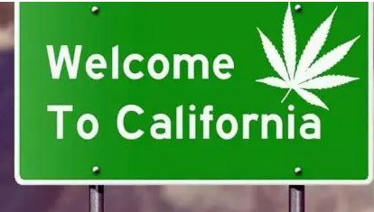 临时许可证失效，加州大麻种植者面临挑战